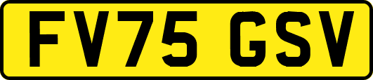 FV75GSV