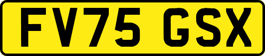 FV75GSX