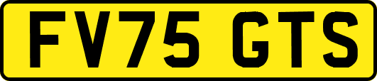 FV75GTS