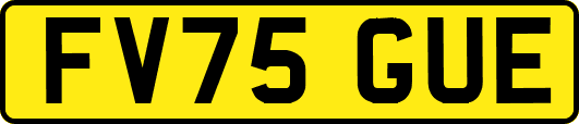 FV75GUE