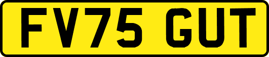 FV75GUT