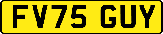 FV75GUY