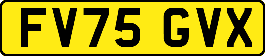 FV75GVX