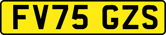 FV75GZS