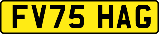 FV75HAG