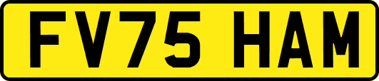 FV75HAM