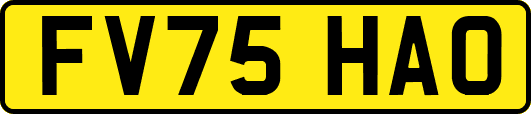 FV75HAO