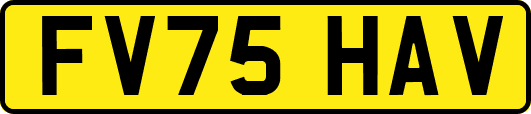 FV75HAV