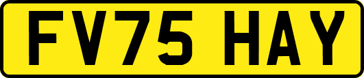 FV75HAY