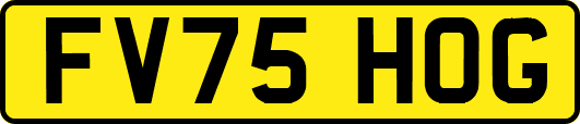 FV75HOG