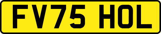 FV75HOL