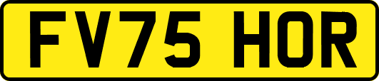 FV75HOR