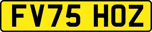 FV75HOZ