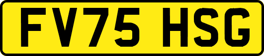 FV75HSG