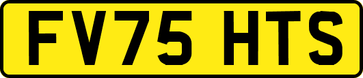 FV75HTS
