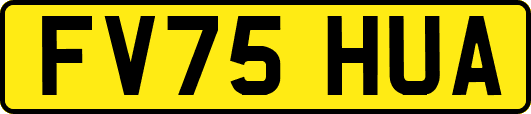 FV75HUA