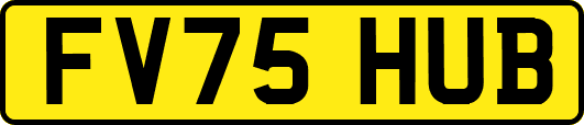 FV75HUB