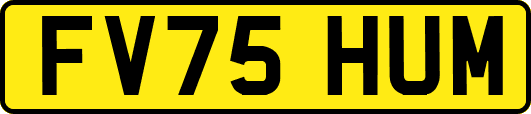 FV75HUM