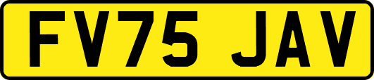 FV75JAV