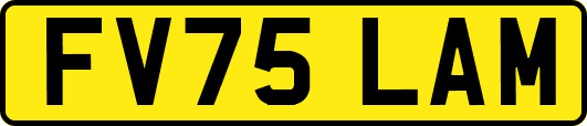 FV75LAM