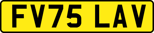 FV75LAV