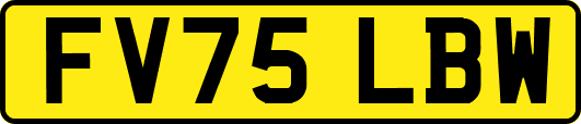 FV75LBW