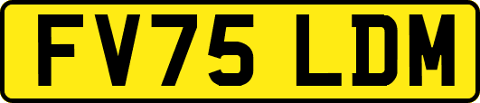 FV75LDM