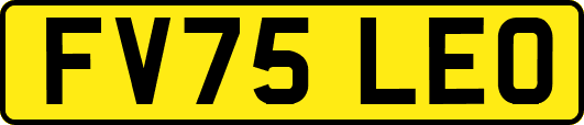 FV75LEO