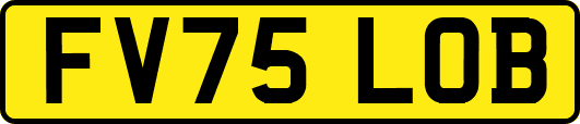 FV75LOB