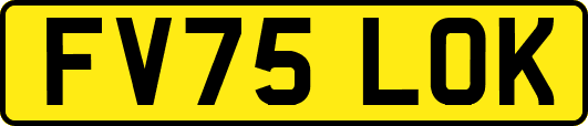 FV75LOK