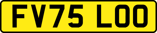 FV75LOO