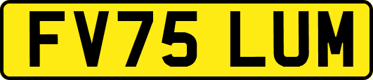 FV75LUM