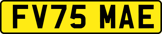 FV75MAE