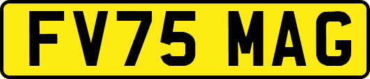 FV75MAG