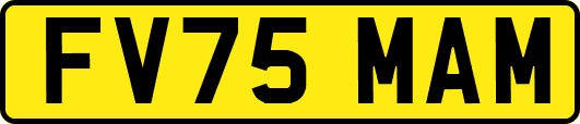 FV75MAM