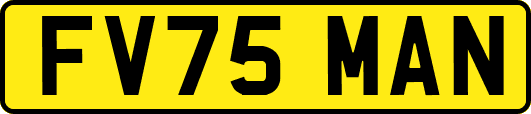 FV75MAN