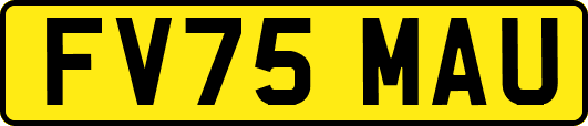 FV75MAU