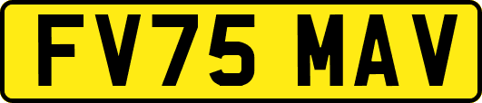 FV75MAV