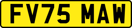 FV75MAW