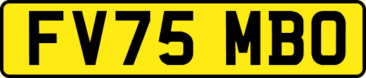 FV75MBO