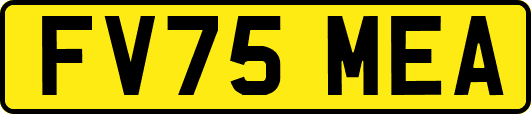 FV75MEA