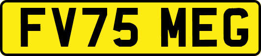 FV75MEG