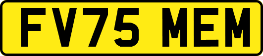 FV75MEM
