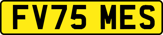 FV75MES