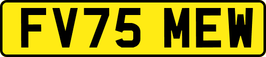 FV75MEW