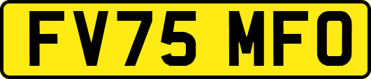 FV75MFO