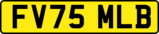FV75MLB