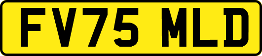 FV75MLD