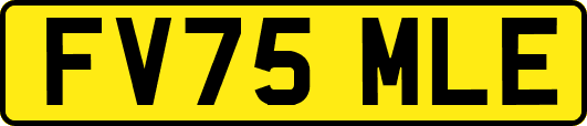 FV75MLE