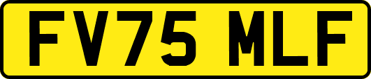 FV75MLF